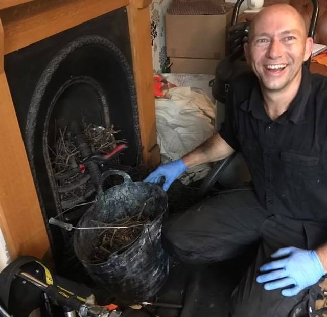 A bird nest cleared from a chimney